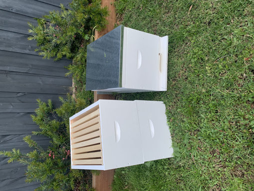 Picture of 8 Frame Established Beehive w/  2 extra supers